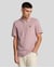 Roze