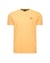 Geel