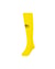 Geel