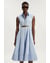Pale Blue