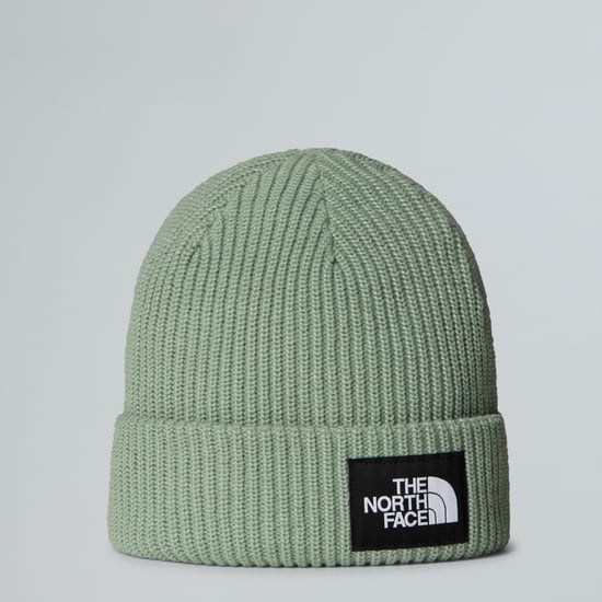 Salty Lined Beanie TNF - Image 1