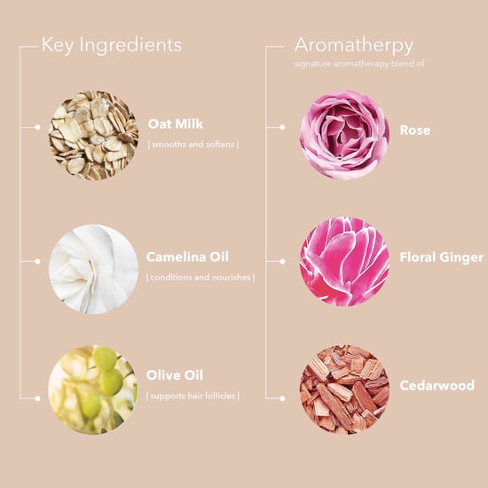 Pureology Color Fanatic Copper Top Coat and Tone Glaze for Radiant Hair - Image 5