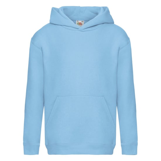 Fruit of the Loom Sweatshirt met capuchon voor kinderen/Kinderen (Hemelsblauw) - Image 1