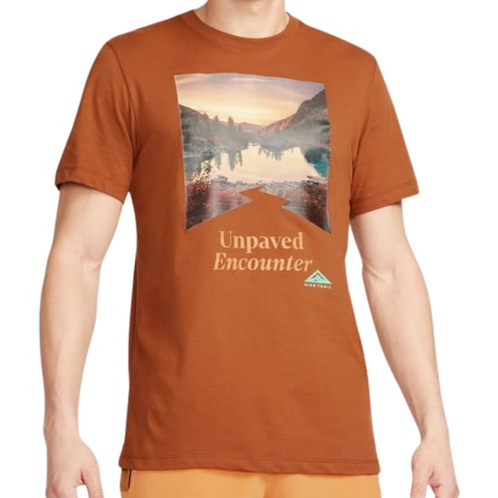 Nike Mountail Trail Logo Brown T-Shirt