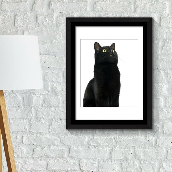 Combo of  Framed Art 2in1 Cute Black Cat Poster Framed Photo, Framed Art