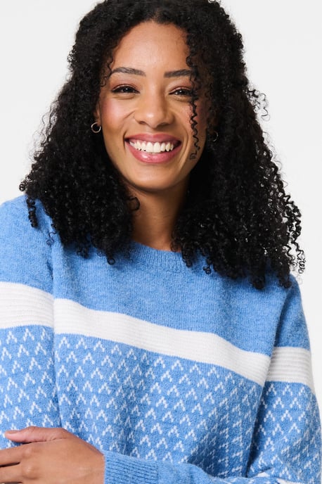 Blue Stripe Print Relaxed Curve Hem Jumper