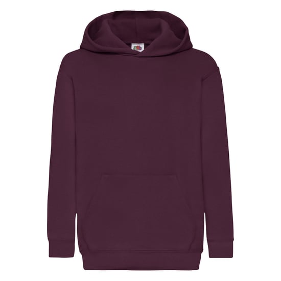 Fruit Of The Loom Kids Unisex Classic 80/20 Hoodie (Bottle Green) - Image 1