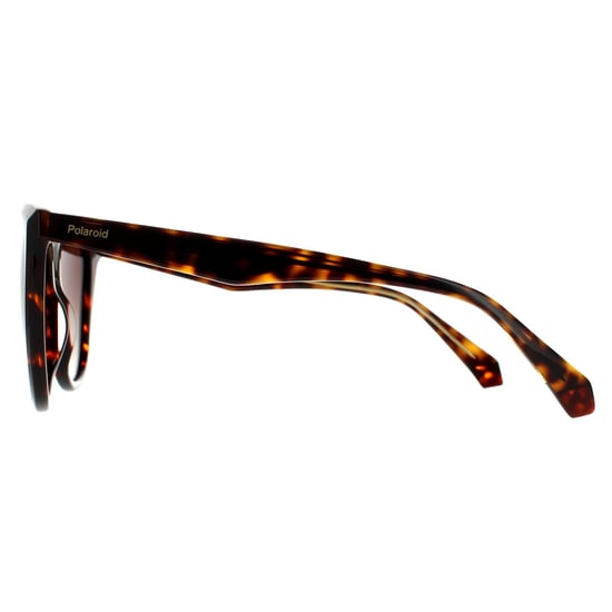 Polaroid Square Womens Havana Brown Gradient Polarized Sunglasses