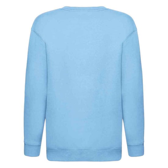 Fruit of the Loom Sweatshirt met Drop Shoulder voor Kinderen/Kinderen (Sky) - Image 2
