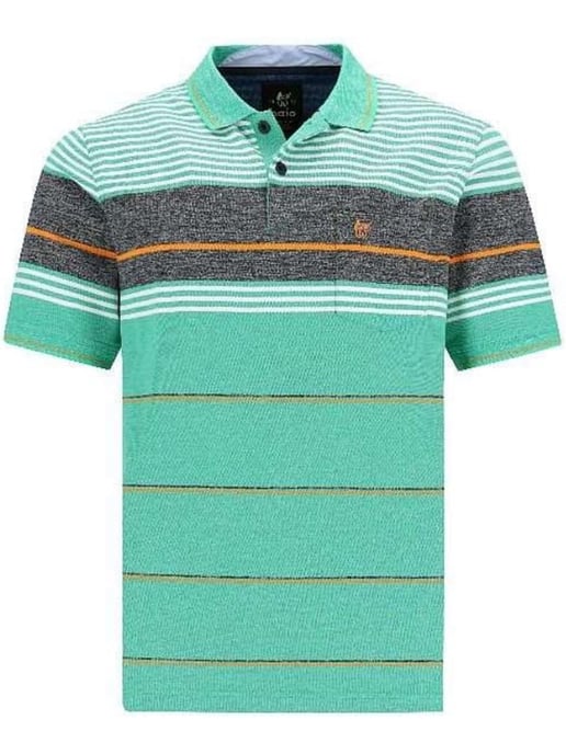hajo polo - Image 1