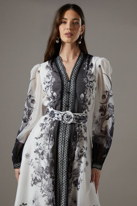Boarder Printed Organza Shirt Dress