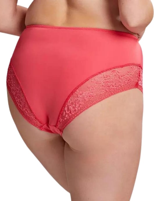 Sculptresse by Panache Roxie High Waist Brief