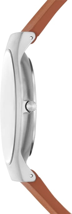 Skagen Sundby Titanium Men's Brown Watch SKW6908