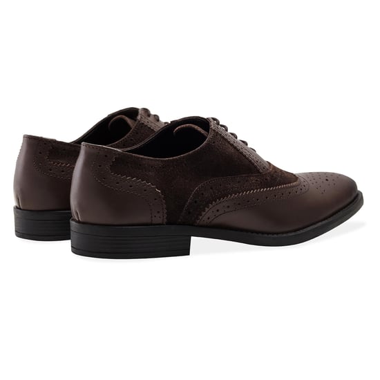 Redfoot Jay Brown