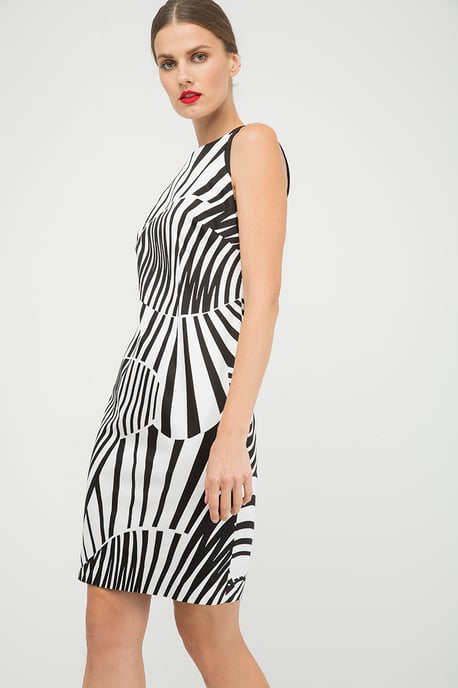 Fitted Sleeveless Print Dress