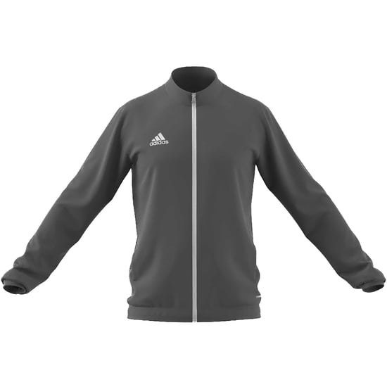 Adidas Sport Ent22 Tegrfo Gray Sweatshirt - Image 1