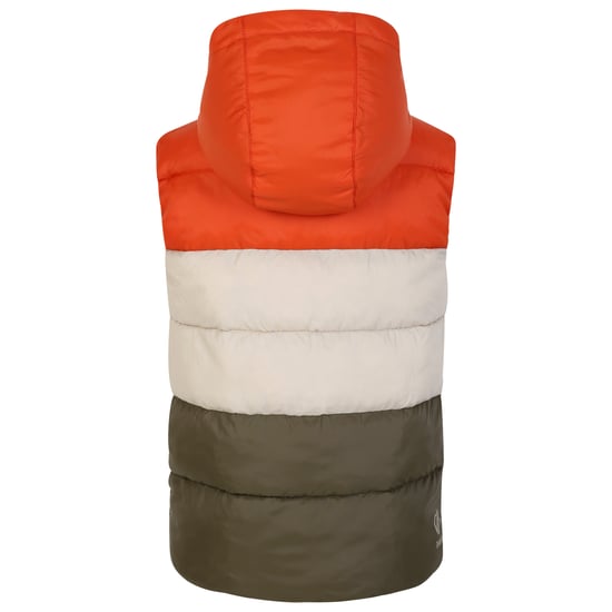 Regatta Childrens/Kids Jolly Padded Gilet (Rooibos Tea/Lichen Green)