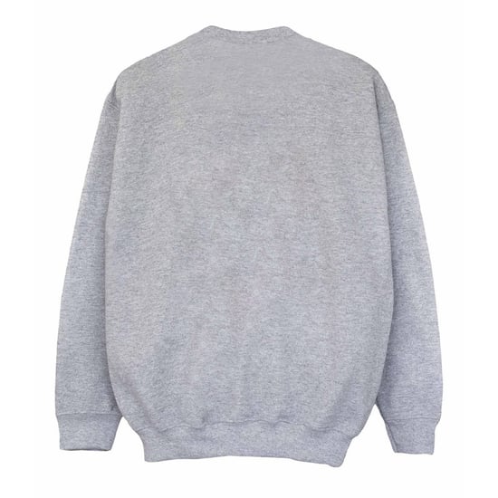 Disney Boys Donald Duck Face Sweatshirt (Sports Grey)