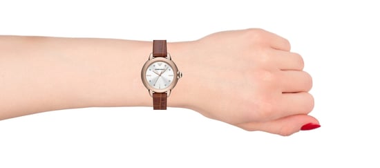 Emporio Armani Mia Women's Brown Watch AR11525