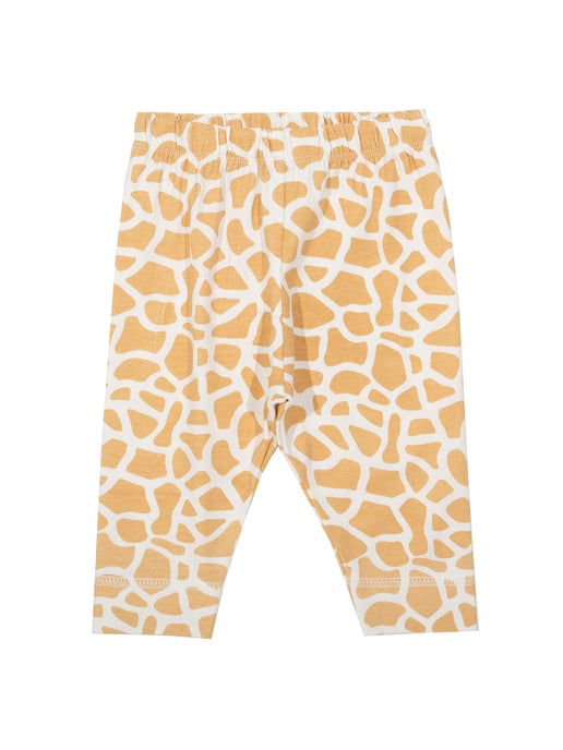 Kite Clothing Safari Leggings
