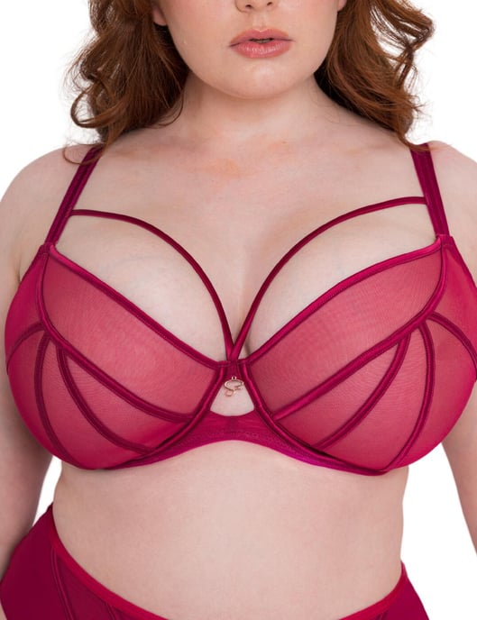 Scantilly by Curvy Kate Senses Plunge Bra -  Cherry