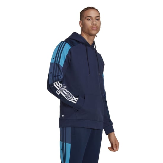 Mens adidas Originals Adicolor Hoody in Blue