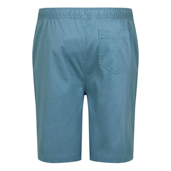 Regatta Mens Aldan Chino Shorts (Coronet Blue) - Image 2