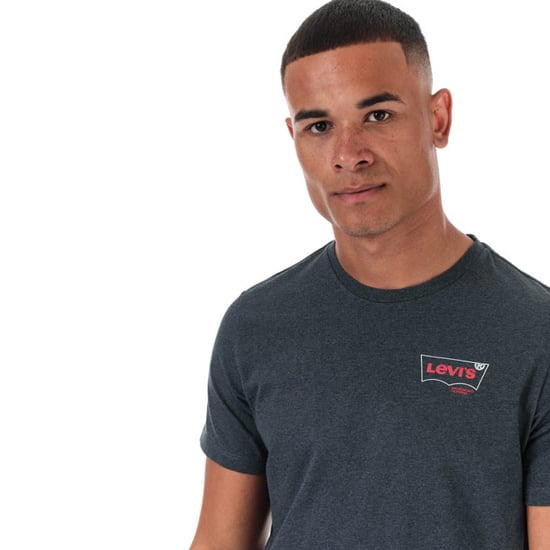 Men's Levis Graphic Crew Neck T-Shirt in Grey