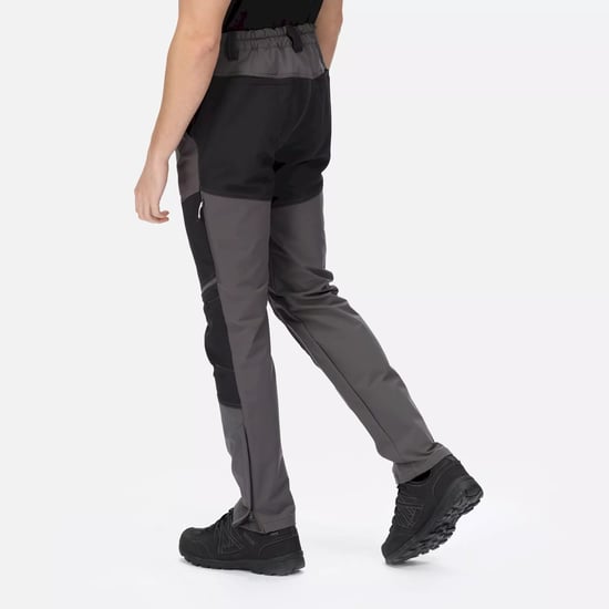Regatta Mens Questra IV Hiking Trousers (Dark Grey/Black)