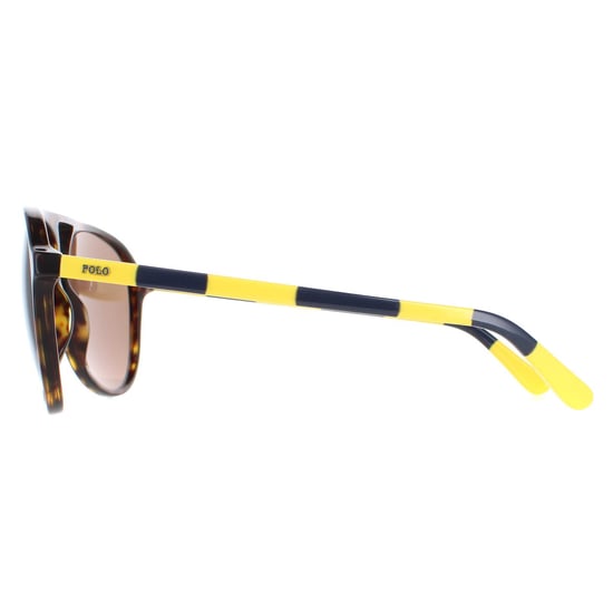 Polo Ralph Lauren Aviator Heren Glimmend Donker Havana Bruin Zonnebril - Image 3
