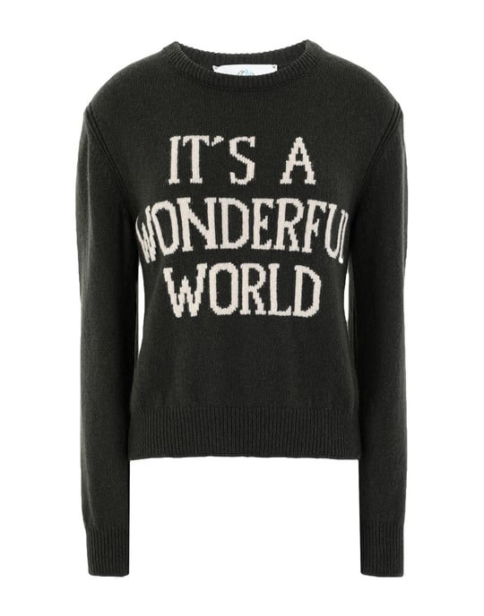 Alberta Ferretti Woman Jumpers Cashmere