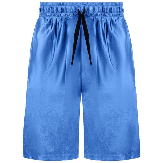 Converse Logo Mens Blue/Black Shorts