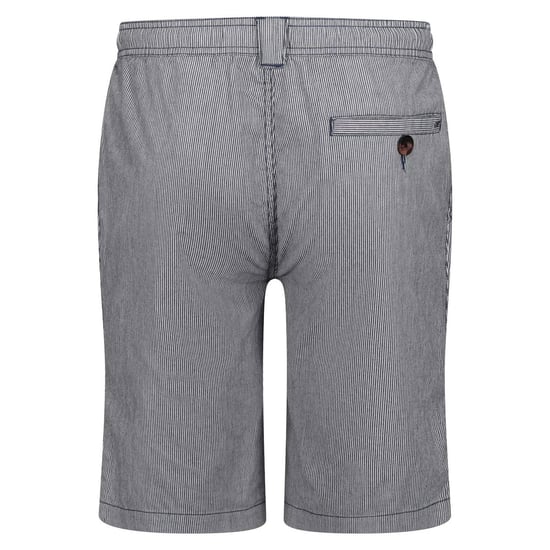 Regatta Mens Albie Chino Stripe Shorts (Dark Denim) - Image 2