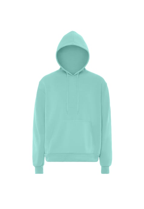 Mo Hoodie Heren IJs munt - Image 1