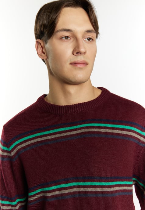Mo Jumper Heren Bordeaux veelkleurig - Image 5