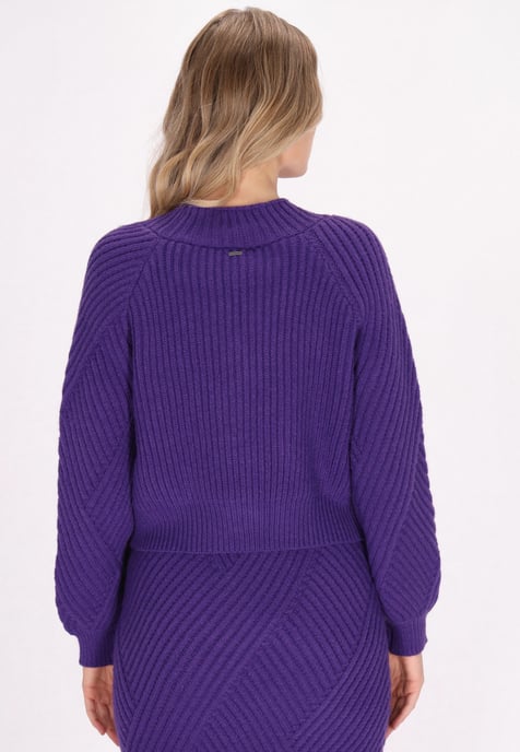 Dreimaster Vest Dames violet - Image 4