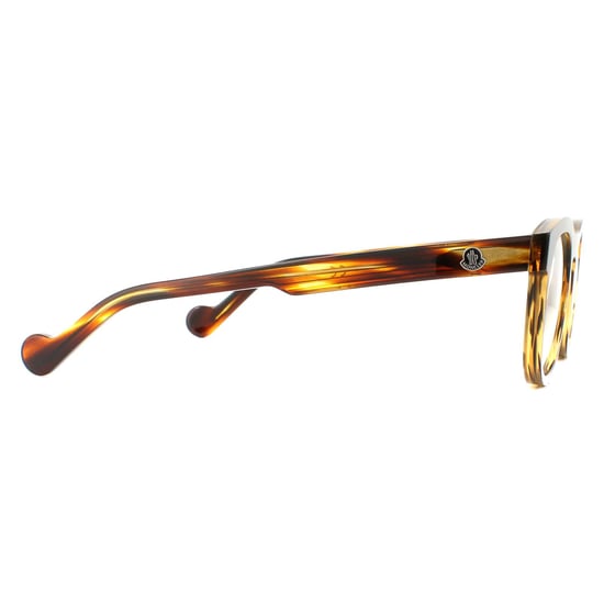 Moncler Round Havana Mens Glasses Frames