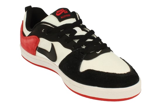 Nike Sb Alleyoop Mens White Trainers