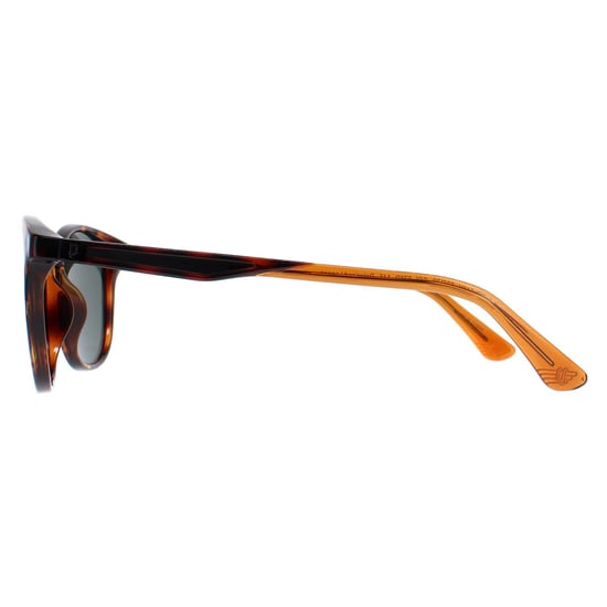 Police SPLF18E 978P lunettes de soleil polarisées vertes havane foncé brillantes - Image 3