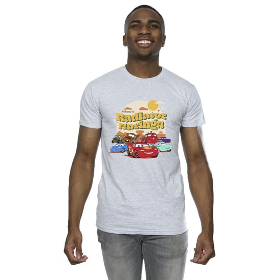 Disney Mens Cars Radiator Springs Group T-Shirt (Sports Grey)