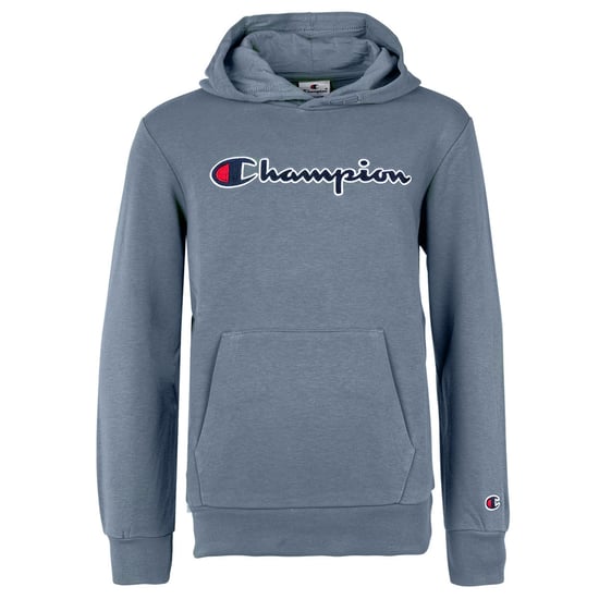 Champion Unisex Hoodie Sweatshirt - Image 1