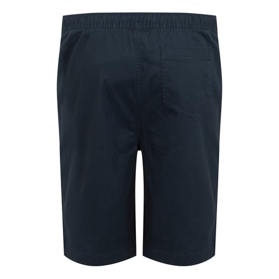 Regatta Mens Aldan Chino Shorts (Marin) - Image 2