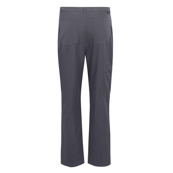 Regatta Heren Dalry Multi Pocket Broek (Afdichting Grijs) - Image 2