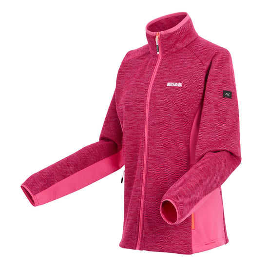 Regatta Womens/Ladies Highton IV Full Zip Fleece Jacket (Flamingo Pink)