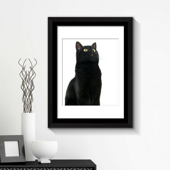 Combo of  Framed Art 2in1 Cute Black Cat Poster Framed Photo, Framed Art