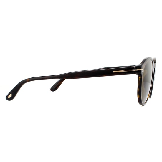 Tom Ford Sunglasses Dante FT0834 52J Dark Havana Roviex Brown