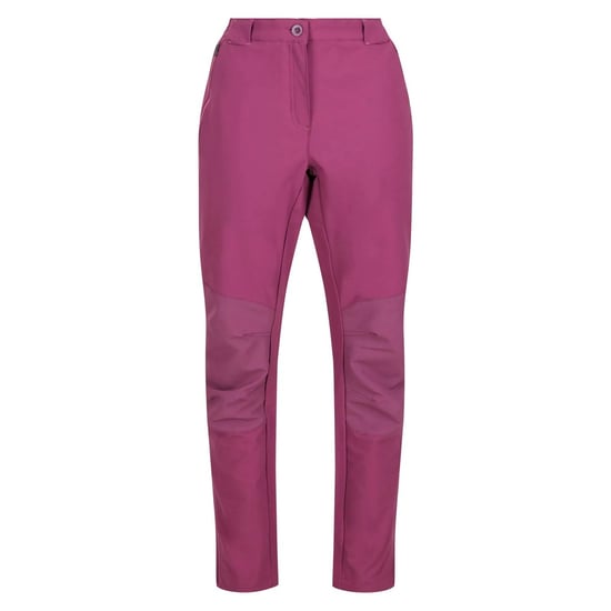 Regatta Womens/Ladies Questra IV Stretch Hiking Trousers (Amaranth Haze)
