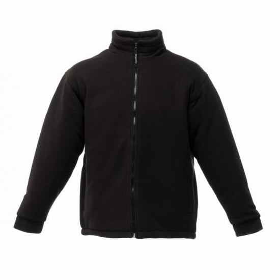 Regatta Mens Asgard II Quilted Fleece Jacket (Thermo-guard Insulation) (Black)