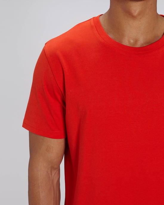 Nauli Unisex Regular Fit T-Shirt in Red