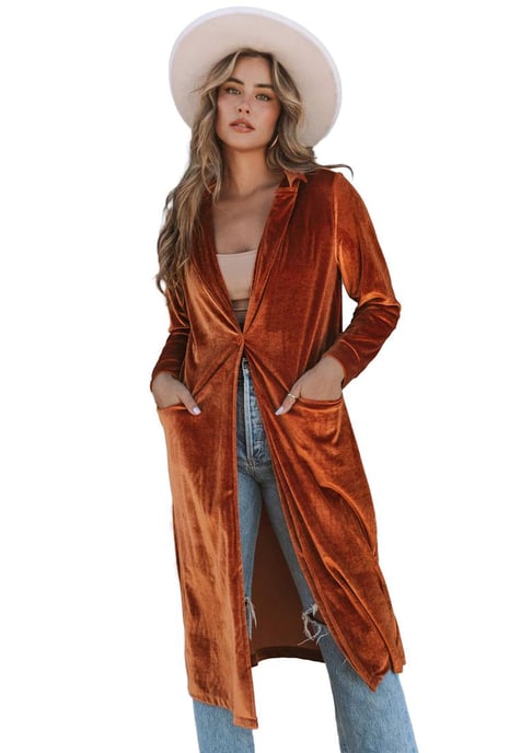Women's Velvet Long Sleeve Coat with Retro-Inspired Pocket Detail in Brown - Image 1